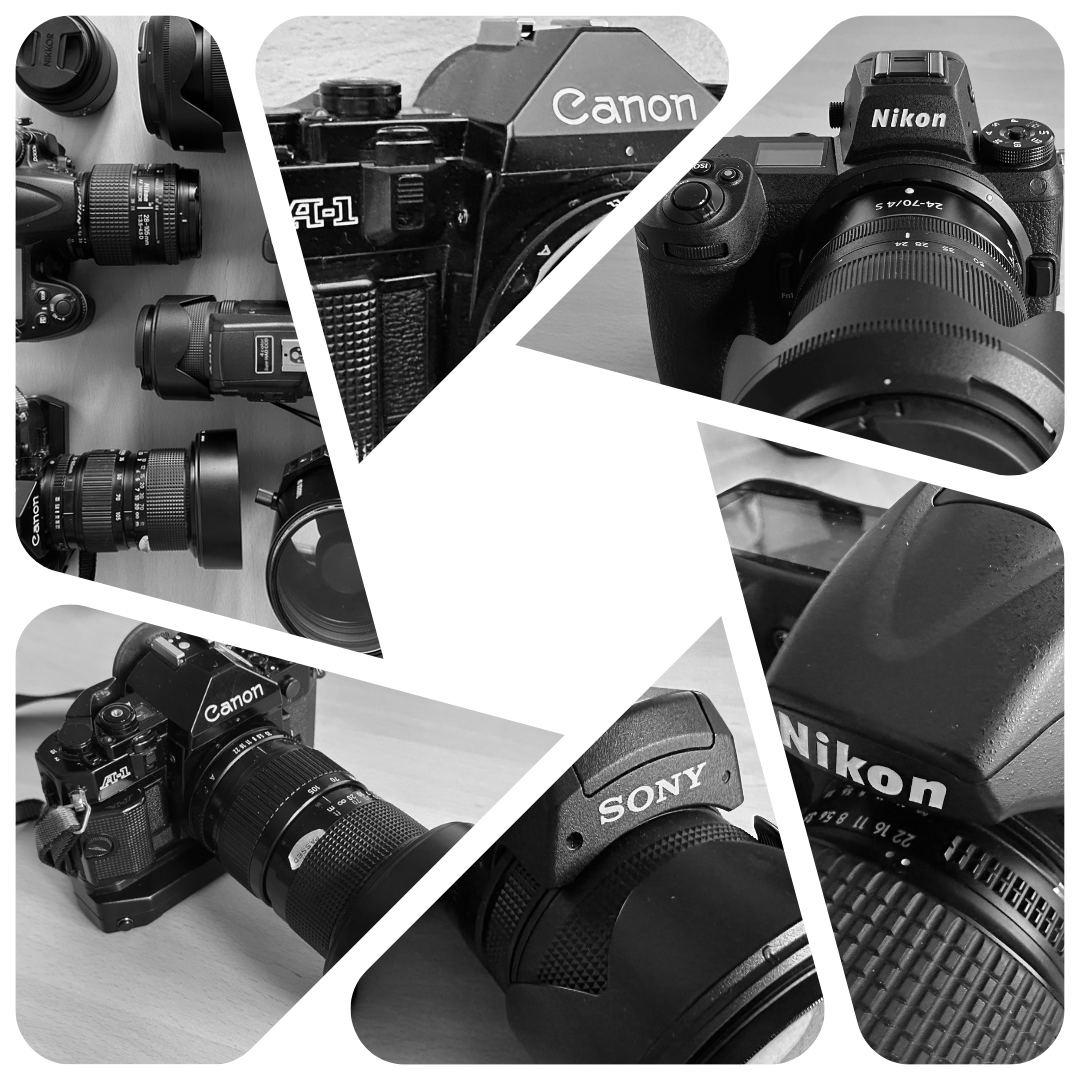 A Journey Through Time: My Field Cameras from Canon A1 to Nikon Z7 II